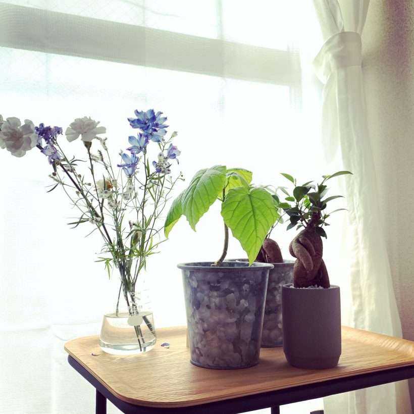 令和さん温度管理下手くそかな