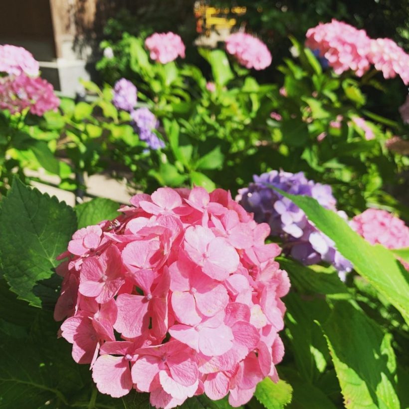 ホットサンドは無理でした